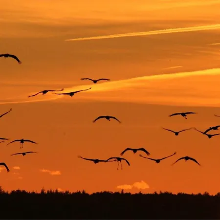 아파트 Morgensonne